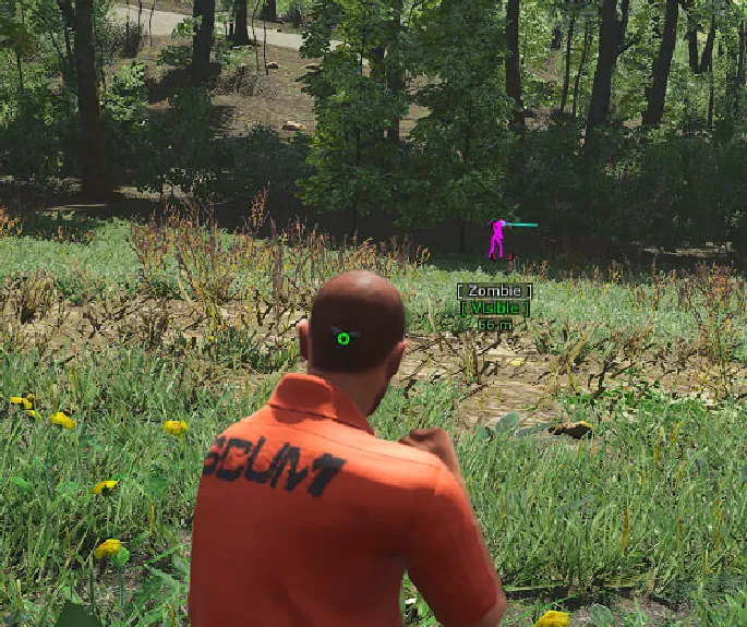 VISOR preview